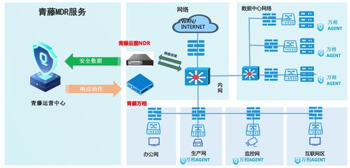 為數(shù)字資產保駕護航 青藤正式推出MSS安全托管服務與數(shù)字內容制作服務